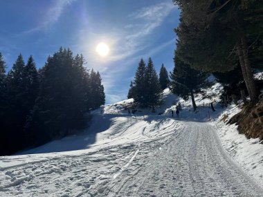 İsviçre Alpleri 'ndeki Valbella ve Lenzerheide tatil beldelerinde yürüyüş, yürüyüş, yürüyüş, spor ve dinlenme için mükemmel bir şekilde düzenlenmiş ve temizlenmiş kış patikaları - İsviçre' deki Grisonlar Kantonu, İsviçre (Schweiz)