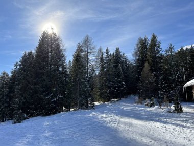 İsviçre Alpleri 'ndeki Valbella ve Lenzerheide tatil beldelerinde yürüyüş, yürüyüş, yürüyüş, spor ve dinlenme için mükemmel bir şekilde düzenlenmiş ve temizlenmiş kış patikaları - İsviçre' deki Grisonlar Kantonu, İsviçre (Schweiz)