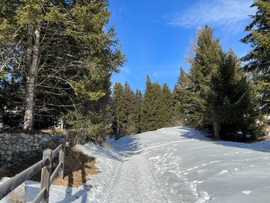 İsviçre Alpleri 'ndeki Valbella ve Lenzerheide tatil beldelerinde yürüyüş, yürüyüş, yürüyüş, spor ve dinlenme için mükemmel bir şekilde düzenlenmiş ve temizlenmiş kış patikaları - İsviçre' deki Grisonlar Kantonu, İsviçre (Schweiz)