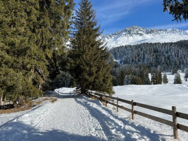 İsviçre Alpleri 'ndeki Valbella ve Lenzerheide tatil beldelerinde yürüyüş, yürüyüş, yürüyüş, spor ve dinlenme için mükemmel bir şekilde düzenlenmiş ve temizlenmiş kış patikaları - İsviçre' deki Grisonlar Kantonu, İsviçre (Schweiz)