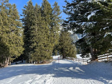 İsviçre Alpleri 'ndeki Valbella ve Lenzerheide tatil beldelerinde yürüyüş, yürüyüş, yürüyüş, spor ve dinlenme için mükemmel bir şekilde düzenlenmiş ve temizlenmiş kış patikaları - İsviçre' deki Grisonlar Kantonu, İsviçre (Schweiz)