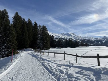 İsviçre Alpleri 'ndeki Valbella ve Lenzerheide tatil beldelerinde yürüyüş, yürüyüş, yürüyüş, spor ve dinlenme için mükemmel bir şekilde düzenlenmiş ve temizlenmiş kış patikaları - İsviçre' deki Grisonlar Kantonu, İsviçre (Schweiz)