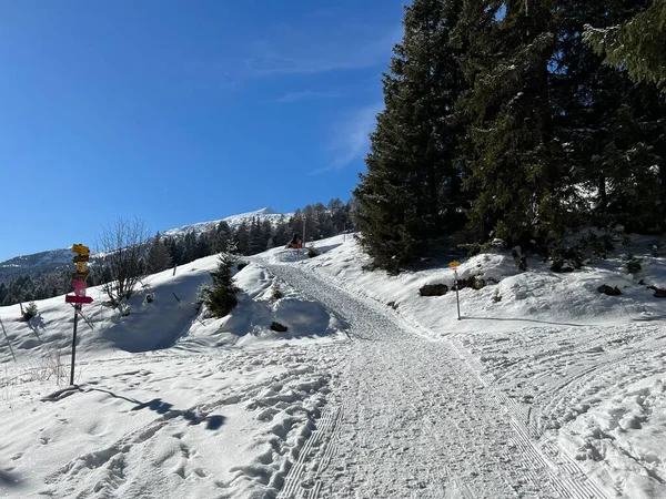 Uitstekend Geordende Gereinigde Winterpaden Voor Wandelen Wandelen Sporten Recreatie Omgeving — Stockfoto