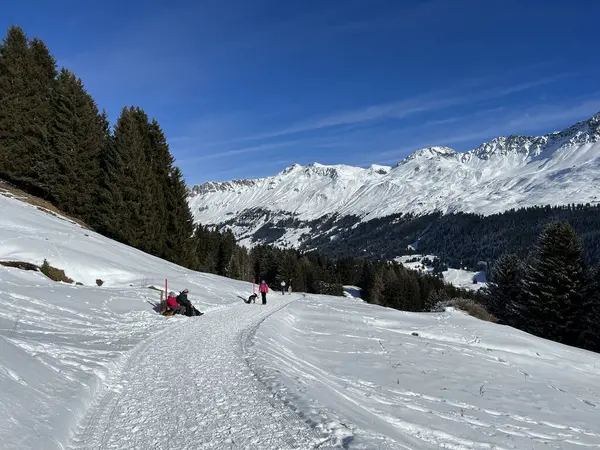 İsviçre Alpleri 'ndeki Valbella ve Lenzerheide tatil beldelerinde yürüyüş, yürüyüş, yürüyüş, spor ve dinlenme için mükemmel bir şekilde düzenlenmiş ve temizlenmiş kış patikaları - İsviçre' deki Grisonlar Kantonu, İsviçre (Schweiz)