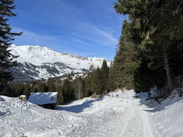 Uitstekend Geordende Gereinigde Winterpaden Voor Wandelen Wandelen Sporten Recreatie Omgeving — Stockfoto
