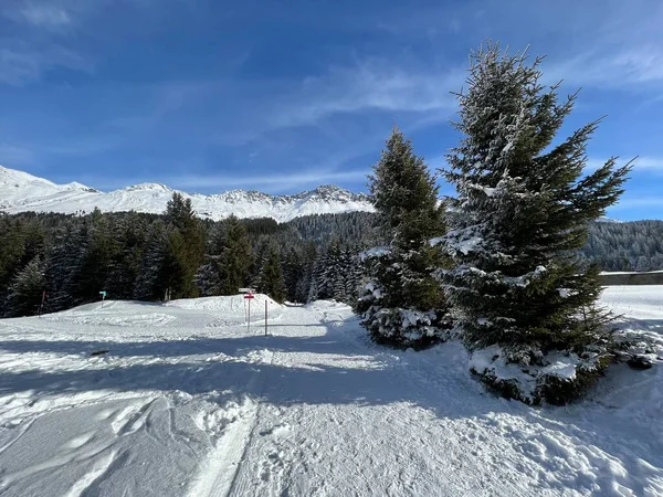 Znakomicie Zaaranżowane Oczyszczone Szlaki Zimowe Spacerów Turystyki Pieszej Sportowej Rekreacyjnej — Zdjęcie stockowe