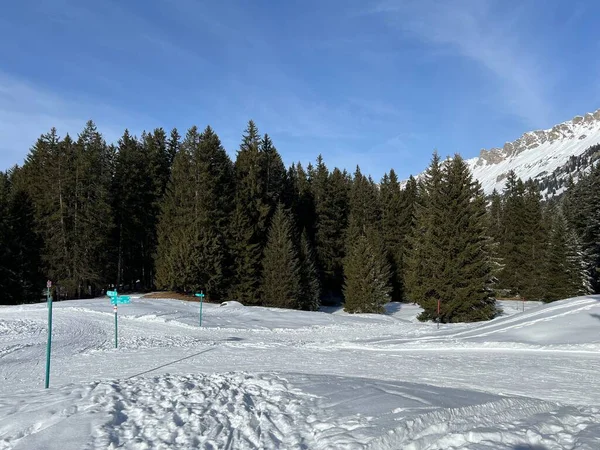 在瑞士Grisons州的瑞士阿尔卑斯山区的Valbella和Lenzerheide旅游胜地 Schweiz 妥善安排和清理冬季小径 供步行 运动和娱乐 — 图库照片