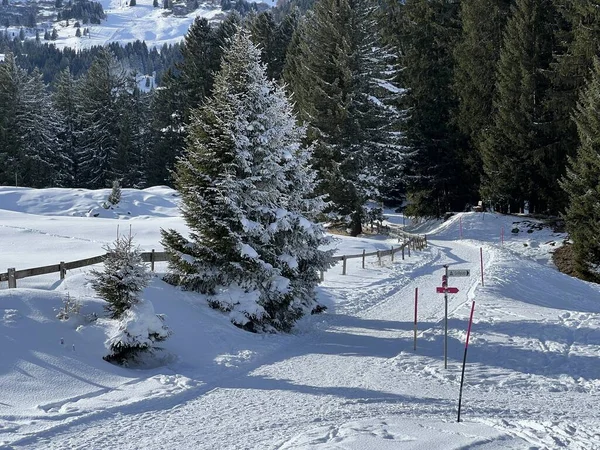 Hervorragend Ausgebaute Und Gereinigte Winterwanderwege Für Spaziergänge Wanderungen Sport Und — Stockfoto