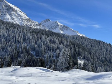 İsviçre Alpleri 'ndeki Valbella ve Lenzerheide tatil beldelerinin üzerindeki kar yağışı sonrası tipik bir kış atmosferindeki alp ağaçlarının resimli gölgeleri - İsviçre' deki Grisonlar Kantonu (Schweiz)