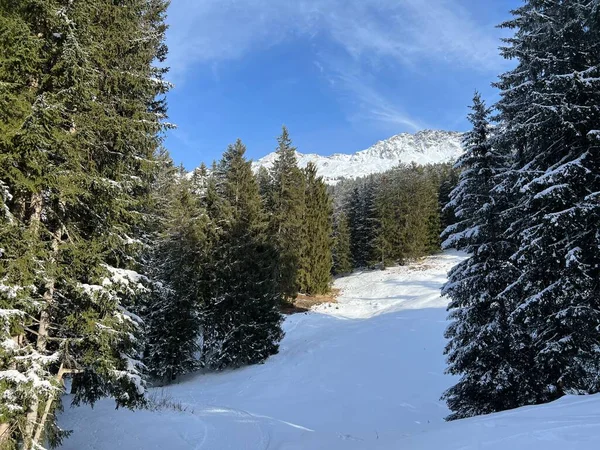 Pittoreska Toppar Alpina Träd Typisk Vinteratmosfär Efter Vintersnöfallet Ovanför Turistorterna — Stockfoto
