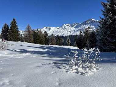 İsviçre 'nin İsviçre Alpleri' ndeki Valbella ve Lenzerheide tatil beldeleri üzerinde güneşli ve karla kaplı alp tepeleri - İsviçre Grisonlar Kantonu, İsviçre (Schweiz)