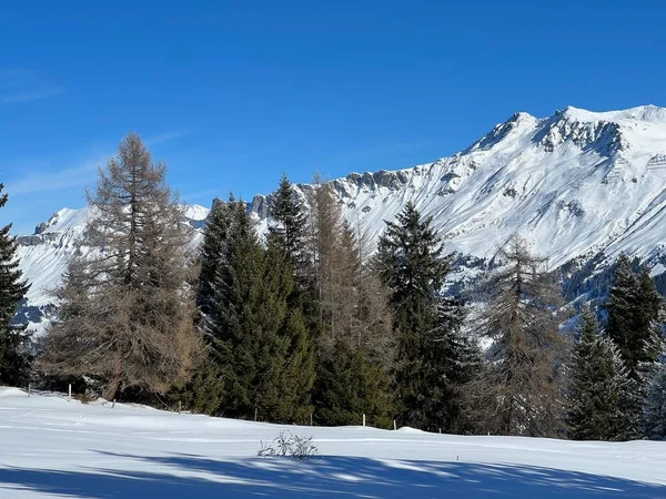Belos Picos Alpinos Iluminados Pelo Sol Cobertos Neve Acima Dos — Fotografia de Stock