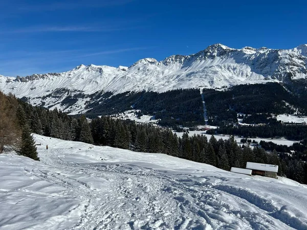 スイスアルプスのバルベラとレンツェルハイデのスイスの観光スポーツレクリエーションの冬のリゾート カントン グリソンズ スイス スイス — ストック写真