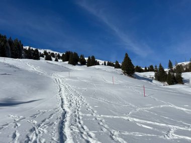 İsviçre Alpleri 'ndeki Valbella ve Lenzerheide tatil beldelerinin üzerindeki kar yağışı sonrası harika kış yürüyüş yolları ve izler İsviçre' nin Grisonlar Kantonu (Schweiz)