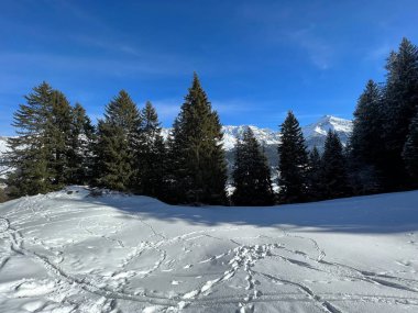 Wonderful winter hiking trails and traces after the winter snowfall above the tourist resorts of Valbella and Lenzerheide in the Swiss Alps - Canton of Grisons, Switzerland (Schweiz)
