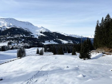 Wonderful winter hiking trails and traces after the winter snowfall above the tourist resorts of Valbella and Lenzerheide in the Swiss Alps - Canton of Grisons, Switzerland (Schweiz)