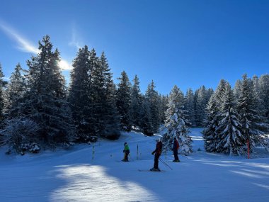 İsviçre Alpleri 'ndeki Valbella ve Lenzerheide tatil beldelerinde kayak ve snowboard yapmak için kullanılan şaşırtıcı spor-eğlence kış pistleri - İsviçre Grisonlar Kantonu, İsviçre (Schweiz)