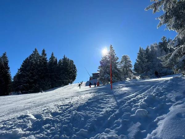 Magiczna Gra Światła Słonecznego Cienia Podczas Alpejskiej Zimy Śnieżnych Stokach — Zdjęcie stockowe