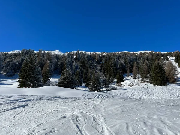 Wonderful Winter Hiking Trails Traces Winter Snowfall Tourist Resorts Valbella — Stockfoto
