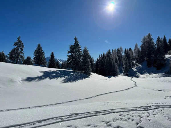 Wspaniałe Zimowe Szlaki Turystyczne Szlaki Zimowych Opadach Śniegu Nad Kurortami — Zdjęcie stockowe