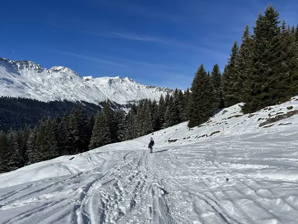 Wonderful Winter Hiking Trails Traces Winter Snowfall Tourist Resorts Valbella — Photo