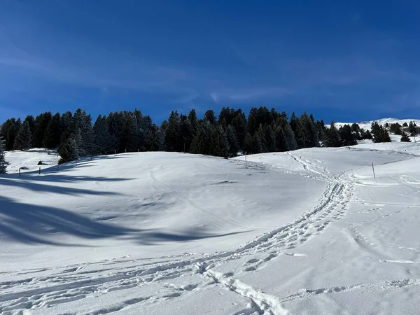 Magnifiques Sentiers Randonnée Hivernale Traces Après Les Chutes Neige Hivernales — Photo