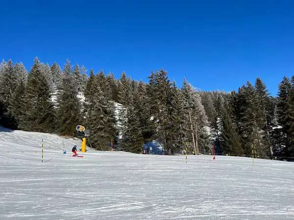 Increíbles Pistas Invierno Nevadas Deportivas Recreativas Para Esquí Snowboard Zona — Foto de Stock