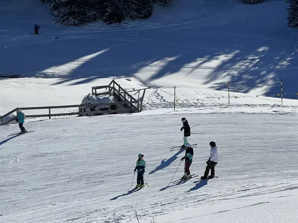 Amazing Sport Recreational Snowy Winter Tracks Skiing Snowboarding Area Tourist — Stock Photo, Image