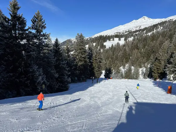 Incroyables Pistes Hiver Enneigées Sportives Récréatives Pour Ski Snowboard Dans — Photo