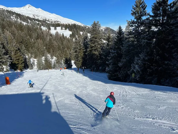 Incroyables Pistes Hiver Enneigées Sportives Récréatives Pour Ski Snowboard Dans — Photo