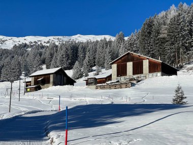 İsviçre Alpleri 'ndeki Valbella ve Lenzerheide tatil beldelerinin kış ortamlarında eski İsviçre kırsal mimarisi ve alp çiftlik hayvanları çiftlikleri (Schweiz)