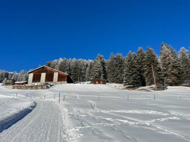 İsviçre Alpleri 'ndeki Valbella ve Lenzerheide tatil beldelerinin kış ortamlarında eski İsviçre kırsal mimarisi ve alp çiftlik hayvanları çiftlikleri (Schweiz)