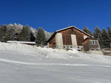 İsviçre Alpleri 'ndeki Valbella ve Lenzerheide tatil beldelerinin kış ortamlarında eski İsviçre kırsal mimarisi ve alp çiftlik hayvanları çiftlikleri (Schweiz)