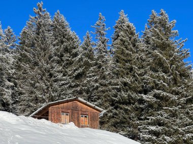 İsviçre Alpleri 'ndeki Valbella ve Lenzerheide tatil beldelerinin kış ortamlarında eski İsviçre kırsal mimarisi ve alp çiftlik hayvanları çiftlikleri (Schweiz)