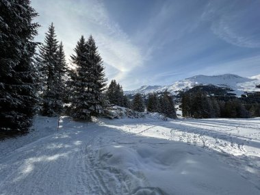 İsviçre Alpleri 'ndeki Valbella ve Lenzerheide tatil beldelerinde yürüyüş, yürüyüş, yürüyüş, spor ve dinlenme için mükemmel bir şekilde düzenlenmiş ve temizlenmiş kış patikaları - İsviçre' deki Grisonlar Kantonu, İsviçre (Schweiz)