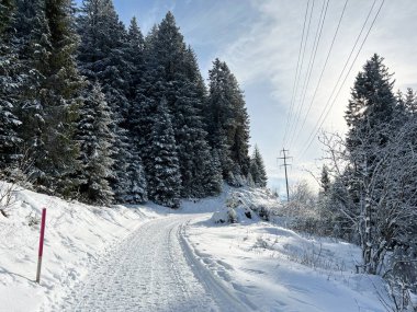 İsviçre Alpleri 'ndeki Valbella ve Lenzerheide tatil beldelerinde yürüyüş, yürüyüş, yürüyüş, spor ve dinlenme için mükemmel bir şekilde düzenlenmiş ve temizlenmiş kış patikaları - İsviçre' deki Grisonlar Kantonu, İsviçre (Schweiz)