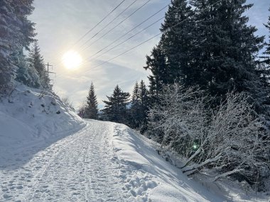 İsviçre Alpleri 'ndeki Valbella ve Lenzerheide tatil beldelerinde yürüyüş, yürüyüş, yürüyüş, spor ve dinlenme için mükemmel bir şekilde düzenlenmiş ve temizlenmiş kış patikaları - İsviçre' deki Grisonlar Kantonu, İsviçre (Schweiz)