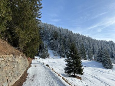 İsviçre Alpleri 'ndeki Valbella ve Lenzerheide tatil beldelerinde yürüyüş, yürüyüş, yürüyüş, spor ve dinlenme için mükemmel bir şekilde düzenlenmiş ve temizlenmiş kış patikaları - İsviçre' deki Grisonlar Kantonu, İsviçre (Schweiz)