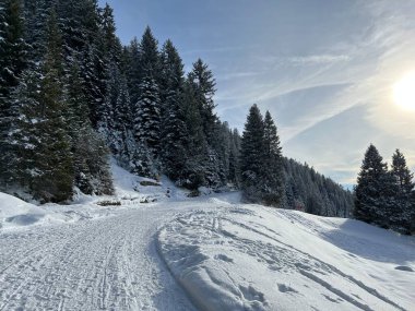İsviçre Alpleri 'ndeki Valbella ve Lenzerheide tatil beldelerinde yürüyüş, yürüyüş, yürüyüş, spor ve dinlenme için mükemmel bir şekilde düzenlenmiş ve temizlenmiş kış patikaları - İsviçre' deki Grisonlar Kantonu, İsviçre (Schweiz)