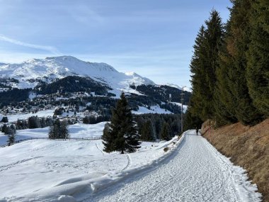 İsviçre Alpleri 'ndeki Valbella ve Lenzerheide tatil beldelerinde yürüyüş, yürüyüş, yürüyüş, spor ve dinlenme için mükemmel bir şekilde düzenlenmiş ve temizlenmiş kış patikaları - İsviçre' deki Grisonlar Kantonu, İsviçre (Schweiz)