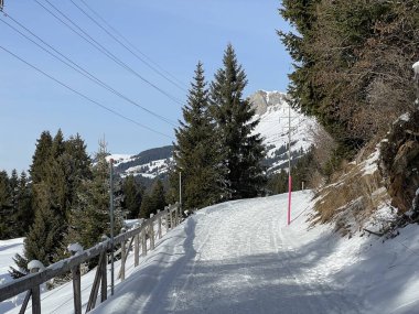 İsviçre Alpleri 'ndeki Valbella ve Lenzerheide tatil beldelerinde yürüyüş, yürüyüş, yürüyüş, spor ve dinlenme için mükemmel bir şekilde düzenlenmiş ve temizlenmiş kış patikaları - İsviçre' deki Grisonlar Kantonu, İsviçre (Schweiz)