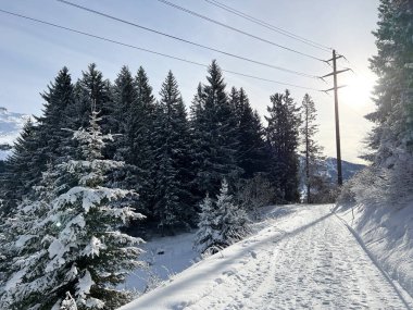 İsviçre Alpleri 'ndeki Valbella ve Lenzerheide tatil beldelerinde yürüyüş, yürüyüş, yürüyüş, spor ve dinlenme için mükemmel bir şekilde düzenlenmiş ve temizlenmiş kış patikaları - İsviçre' deki Grisonlar Kantonu, İsviçre (Schweiz)