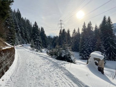 İsviçre Alpleri 'ndeki Valbella ve Lenzerheide tatil beldelerinde yürüyüş, yürüyüş, yürüyüş, spor ve dinlenme için mükemmel bir şekilde düzenlenmiş ve temizlenmiş kış patikaları - İsviçre' deki Grisonlar Kantonu, İsviçre (Schweiz)