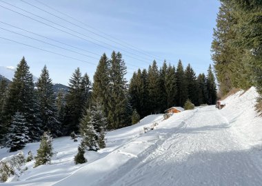 İsviçre Alpleri 'ndeki Valbella ve Lenzerheide tatil beldelerinde yürüyüş, yürüyüş, yürüyüş, spor ve dinlenme için mükemmel bir şekilde düzenlenmiş ve temizlenmiş kış patikaları - İsviçre' deki Grisonlar Kantonu, İsviçre (Schweiz)