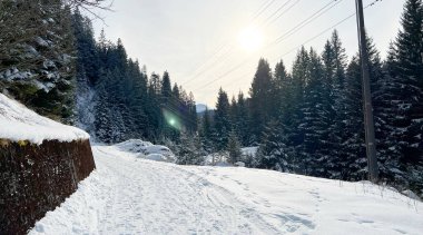 İsviçre Alpleri 'ndeki Valbella ve Lenzerheide tatil beldelerinde yürüyüş, yürüyüş, yürüyüş, spor ve dinlenme için mükemmel bir şekilde düzenlenmiş ve temizlenmiş kış patikaları - İsviçre' deki Grisonlar Kantonu, İsviçre (Schweiz)