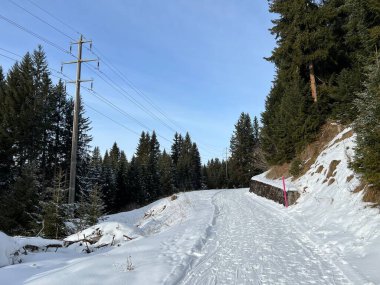 İsviçre Alpleri 'ndeki Valbella ve Lenzerheide tatil beldelerinde yürüyüş, yürüyüş, yürüyüş, spor ve dinlenme için mükemmel bir şekilde düzenlenmiş ve temizlenmiş kış patikaları - İsviçre' deki Grisonlar Kantonu, İsviçre (Schweiz)