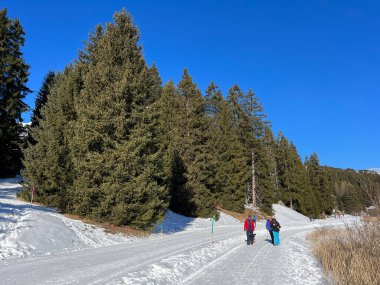 İsviçre Alpleri 'ndeki Valbella ve Lenzerheide tatil beldelerinde yürüyüş, yürüyüş, yürüyüş, spor ve dinlenme için mükemmel bir şekilde düzenlenmiş ve temizlenmiş kış patikaları - İsviçre' deki Grisonlar Kantonu, İsviçre (Schweiz)