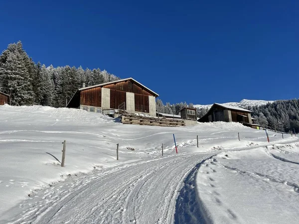 スイスアルプスのバルベラとレンツェルハイデの観光地の冬の雰囲気の中で 古い伝統的なスイスの農村建築と高山家畜農場 スイス グリソンのカントン スイス — ストック写真