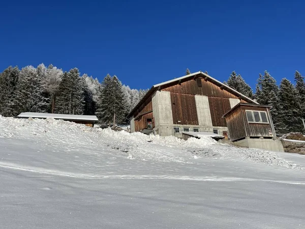 Antiga Arquitetura Rural Suíça Tradicional Fazendas Gado Alpino Ambiente Inverno — Fotografia de Stock