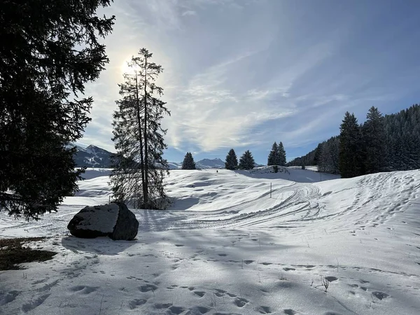 스위스 알프스산맥의 휴양지인 벨라와 헤이드 지역에서 하이킹 스포츠 오락을 산책로를 — 스톡 사진